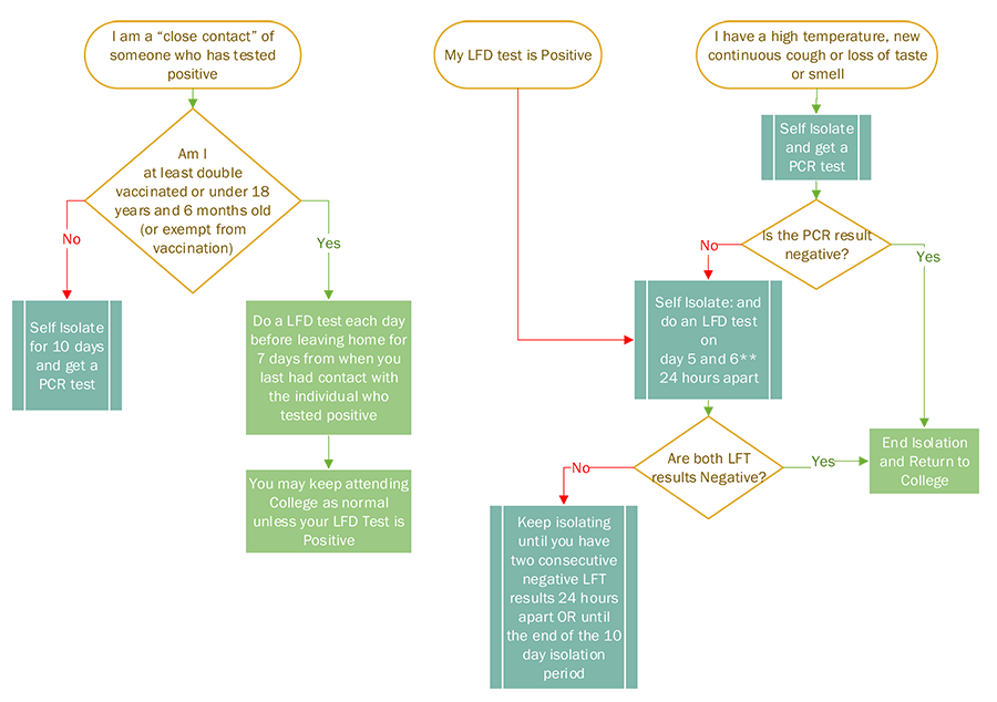 COVID Isolation and close contacts flowchart