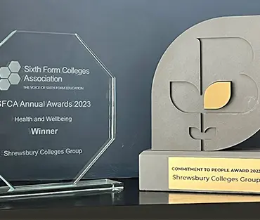 Close up of awards